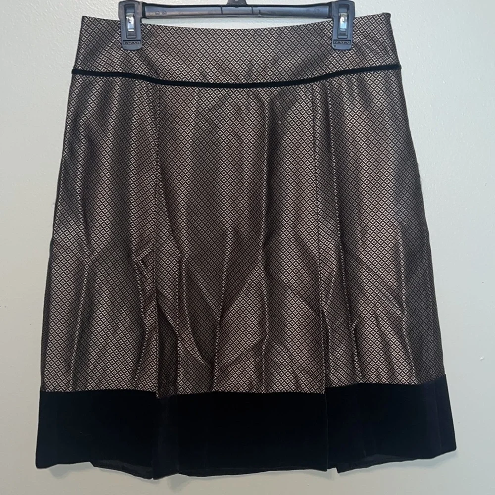 ANN TAYLOR Women's Silk Blend Velvet Trimmed A-Line Pleated Skirt